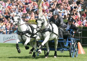 Hetty Hickstead 